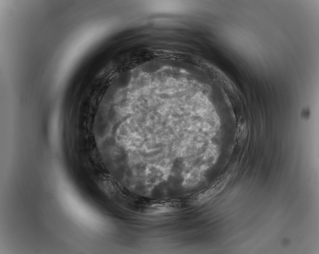 X0000099410381200805301351