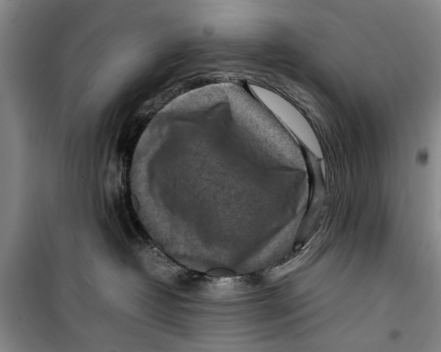 X0000099410382200805301351