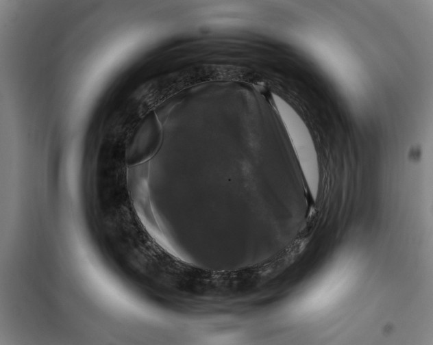 X0000099410383200805301351