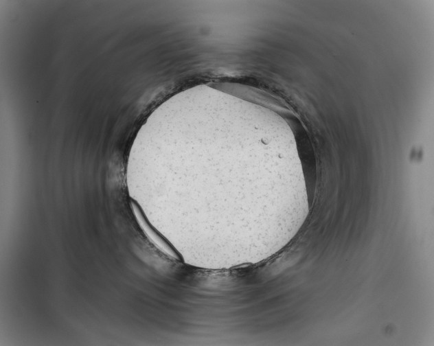 X0000099410384200805301351