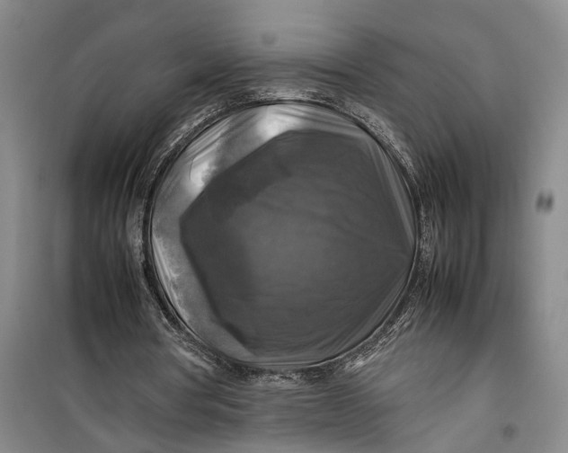 X0000099410386200805301350