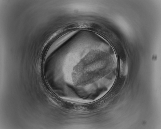 X0000099410387200805301350