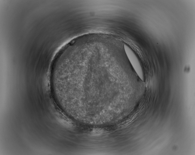 X0000099410388200805301350