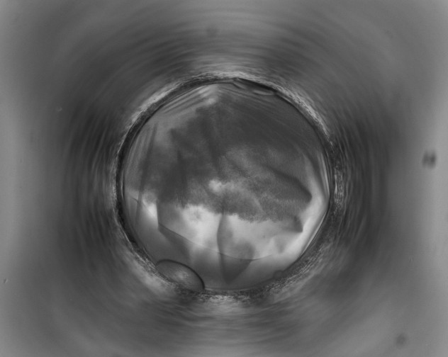 X0000099410390200805301350