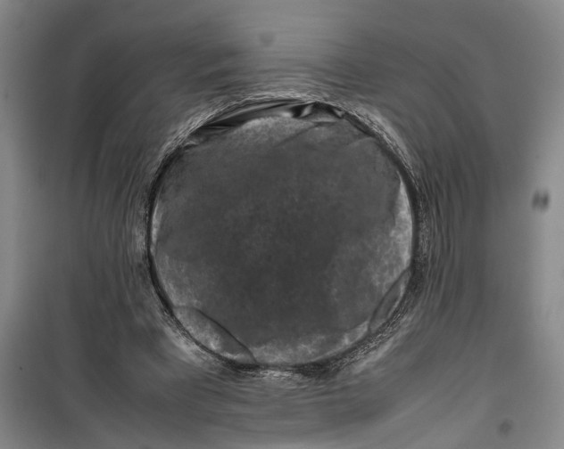 X0000099410393200805301350