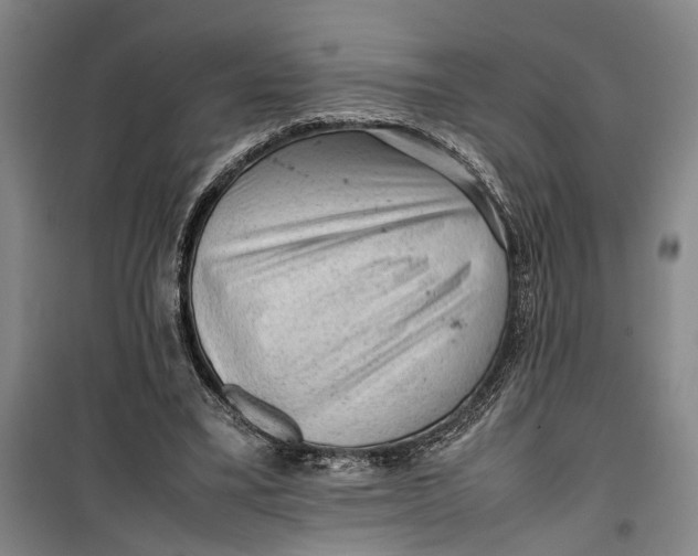 X0000099410395200805301350