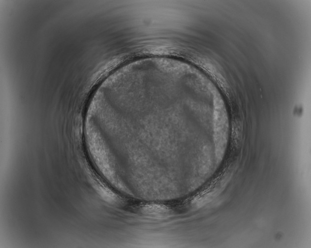 X0000099410397200805301350