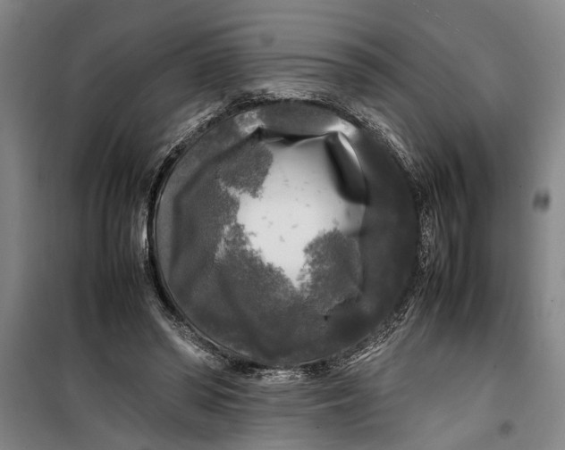 X0000099410398200805301350