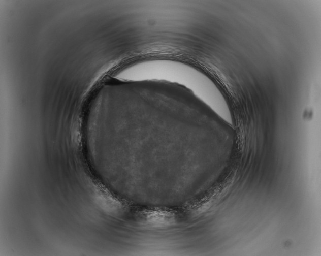 X0000099410400200805301350