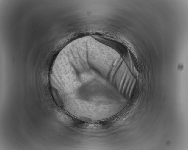 X0000099410401200805301350