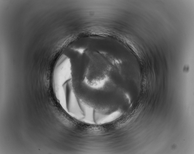 X0000099410402200805301350