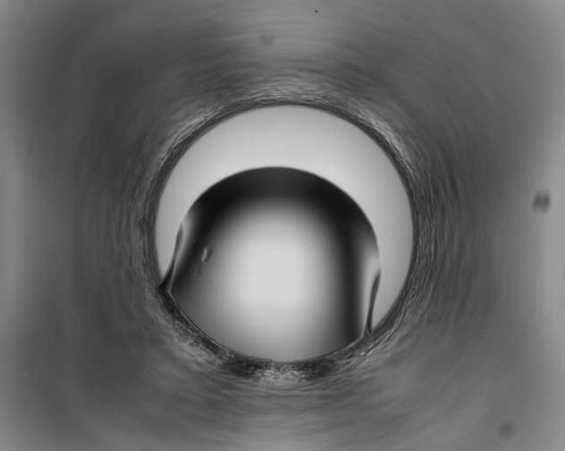 X0000099410403200805301350