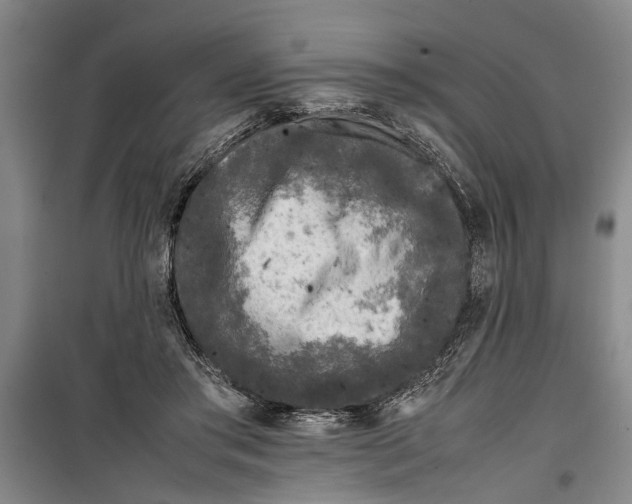 X0000099410405200805301350