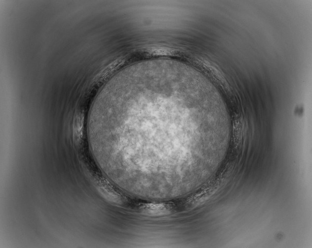 X0000099410406200805301350