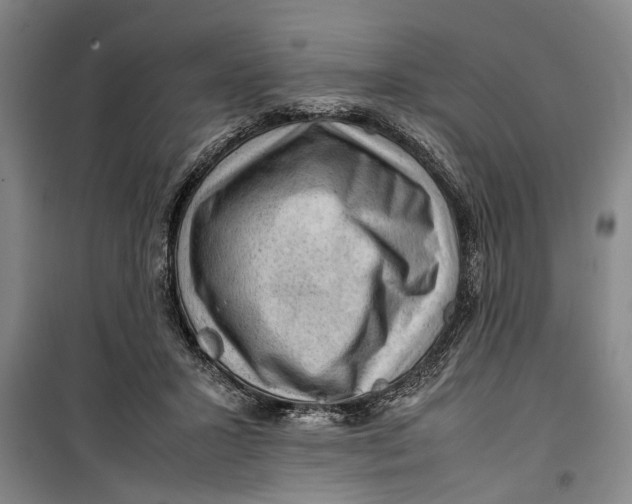 X0000099410407200805301350