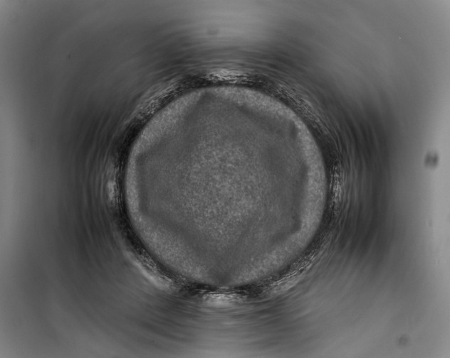 X0000099410408200805301350