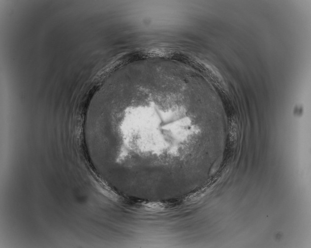 X0000099410409200805301350