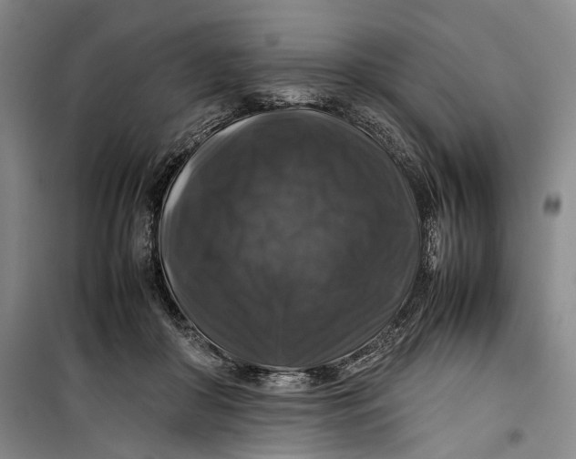 X0000099410410200805301350