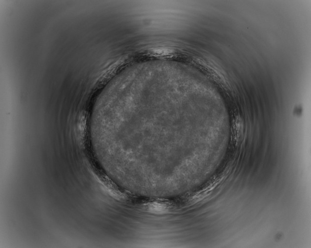 X0000099410412200805301350