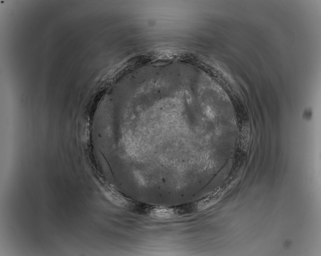 X0000099410413200805301350