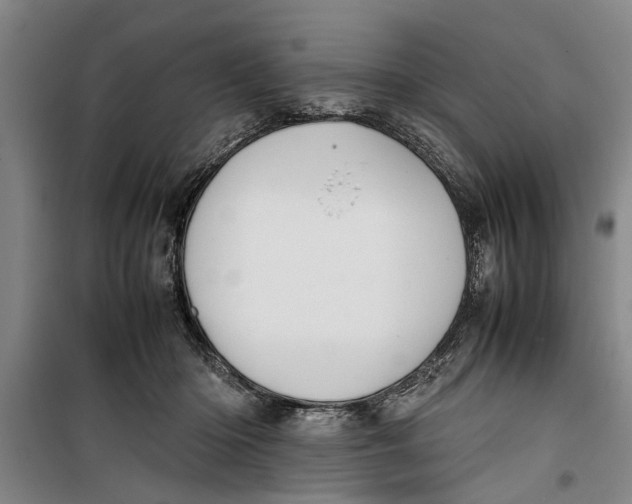 X0000099410414200805301350