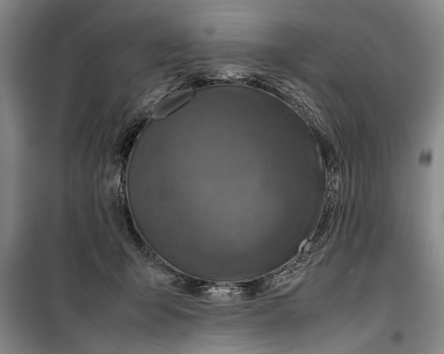 X0000099410415200805301350