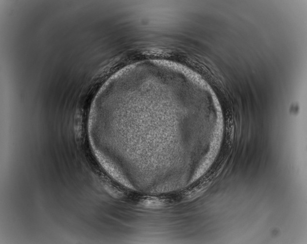 X0000099410416200805301350