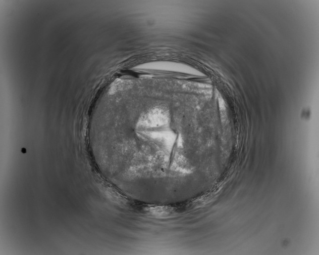 X0000099410417200805301350