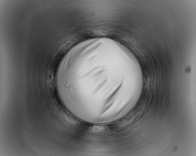 X0000099410418200805301350