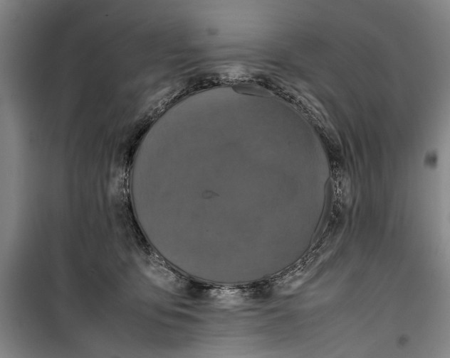 X0000099410419200805301350