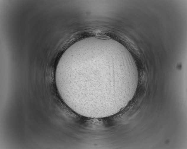 X0000099410421200805301350