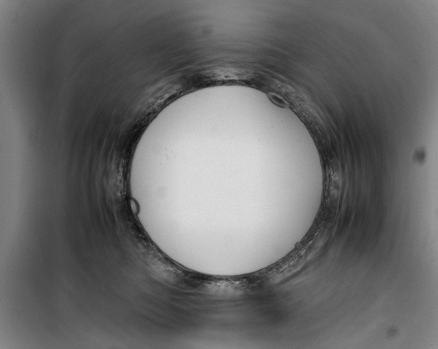 X0000099410422200805301350