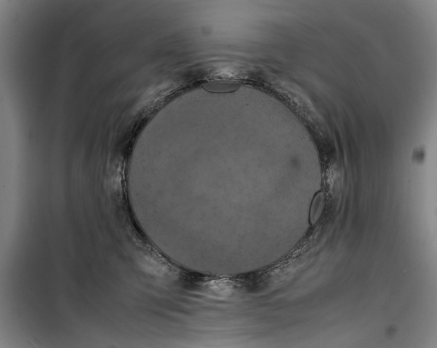 X0000099410423200805301350