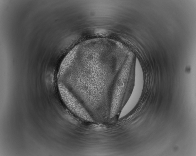 X0000099410424200805301350