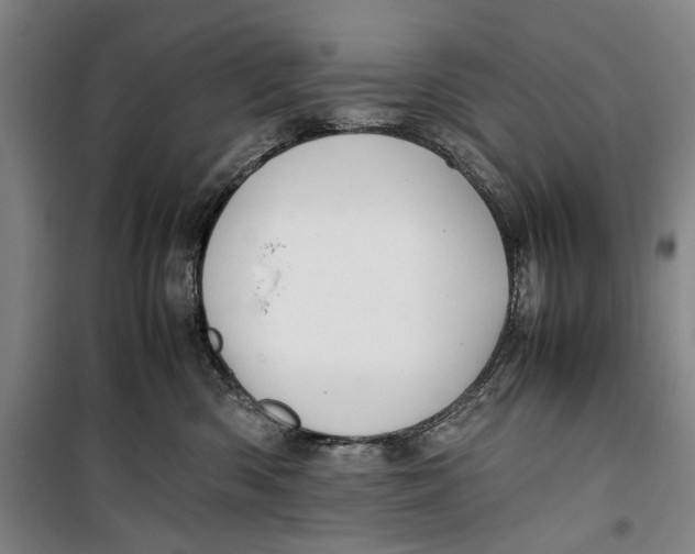 X0000099410426200805301350