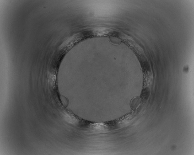 X0000099410427200805301350