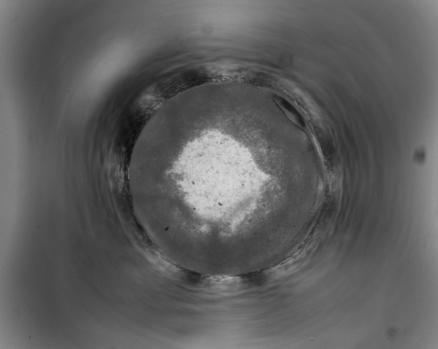 X0000099410429200805301350