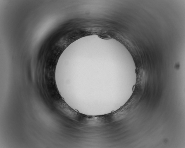 X0000099410430200805301350