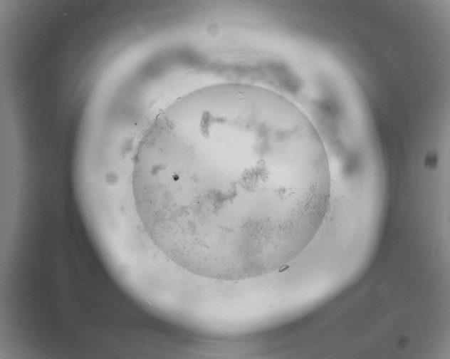 X0000099410431200805301350