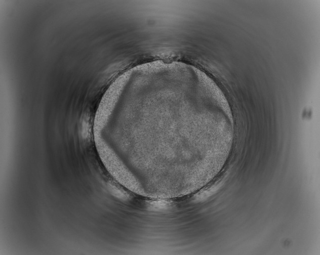 X0000099410432200805301350