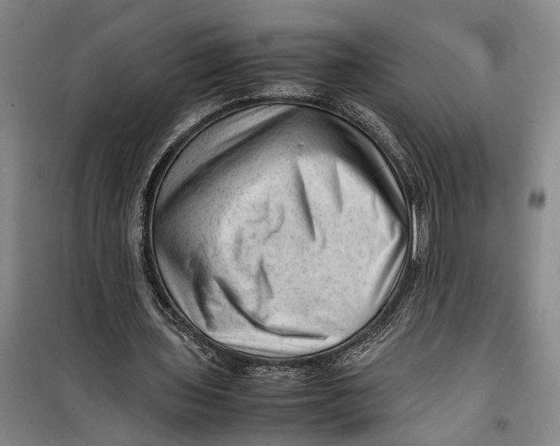 X0000099410435200805301349