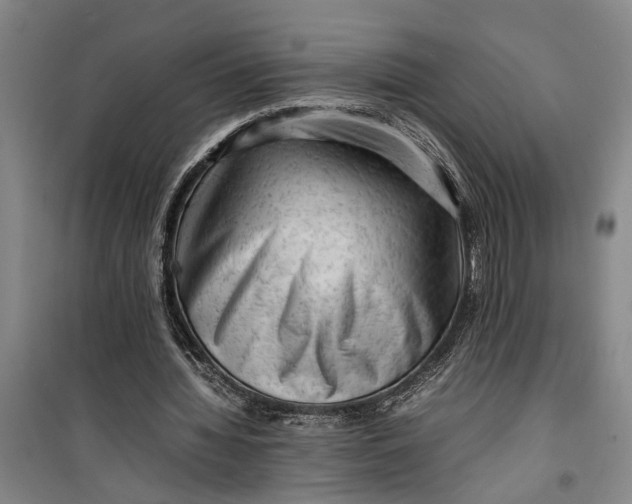 X0000099410436200805301349