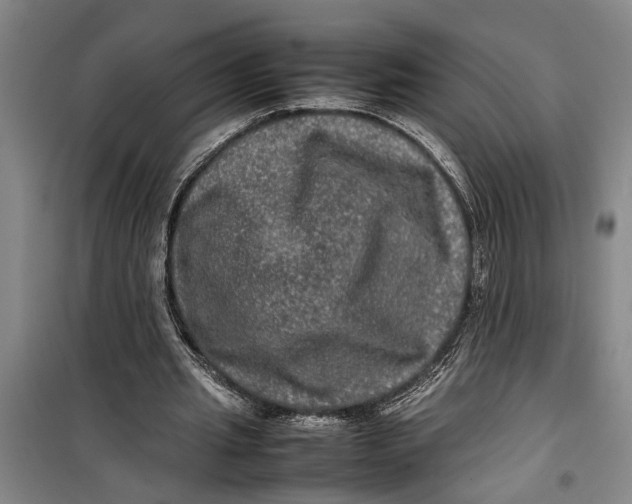 X0000099410437200805301349