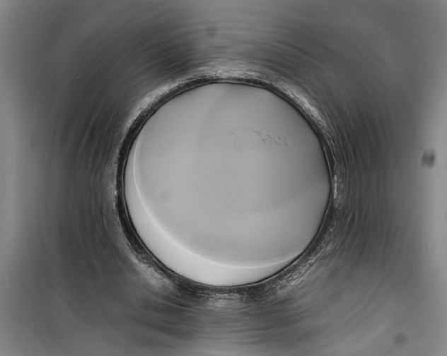 X0000099410438200805301349