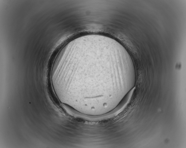 X0000099410440200805301349