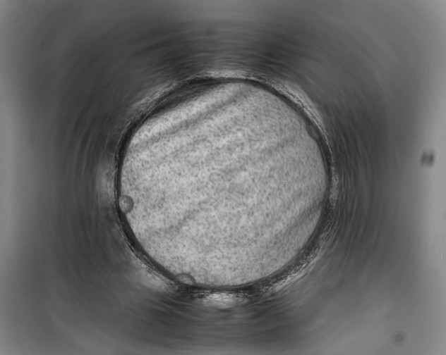 X0000099410441200805301349