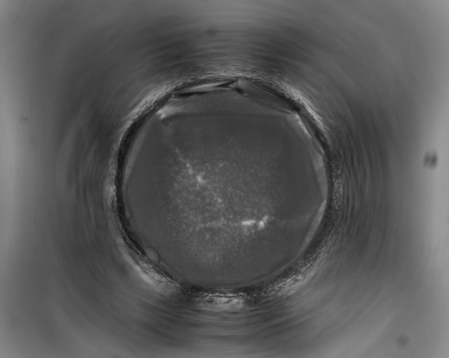 X0000099410443200805301349