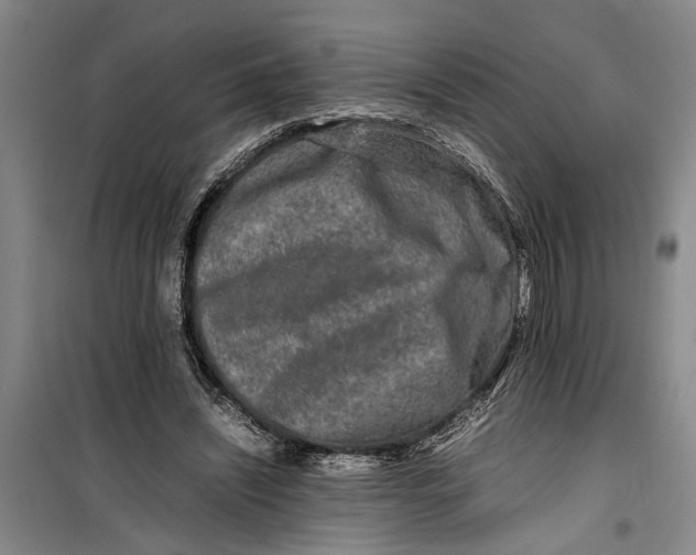 X0000099410444200805301349