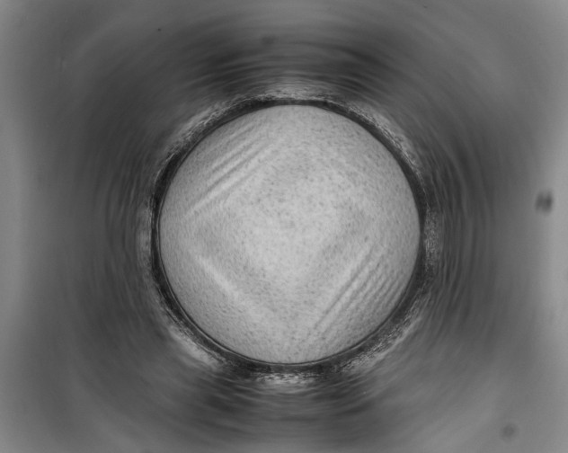 X0000099410445200805301349