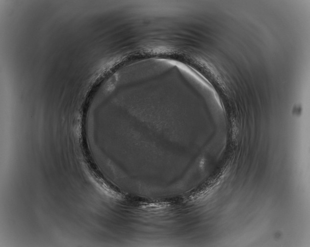 X0000099410447200805301349